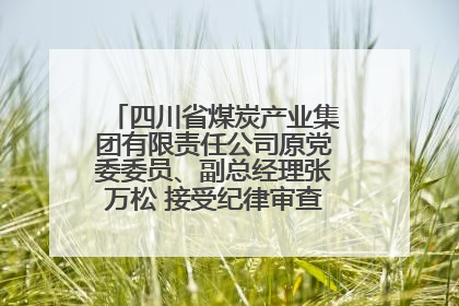 四川省煤炭产业集团有限责任公司原党委委员、副总经理张万松 接受纪律审查和监察调查